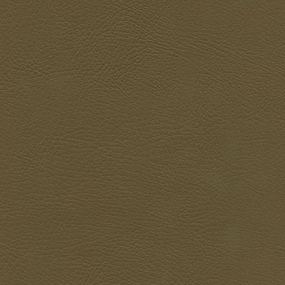 Maxwell Fabrics HERVE-NJ # 746 MARSH