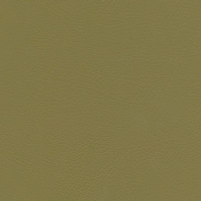 Maxwell Fabrics HERVE-NJ # 749 SAGE