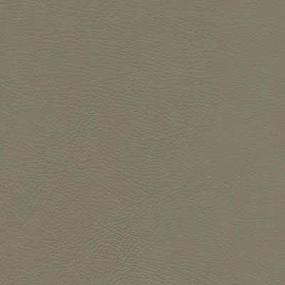 Maxwell Fabrics HERVE-NJ # 751 CELLAR