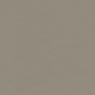 Maxwell Fabrics HIGHBORN-NJ # 404 ROCK WALL