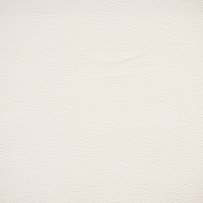 Maxwell Fabrics HOYT # 912 SNOWFALL