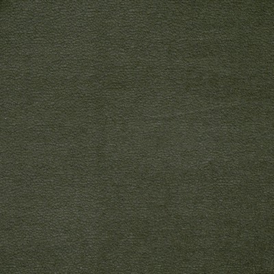 Maxwell Fabrics HOYT # 918 MOSS