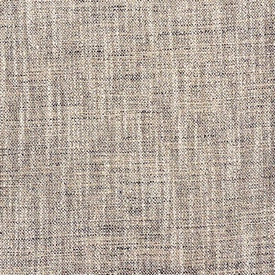 Maxwell Fabrics INDUS # 844 PLUTO