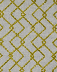 Maxwell Fabrics Insets 531 Turmeric Fabric