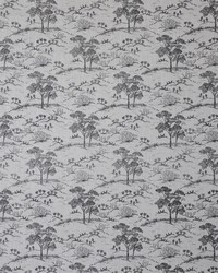 Maxwell Fabrics Joshua Tree 507 Cacao Fabric