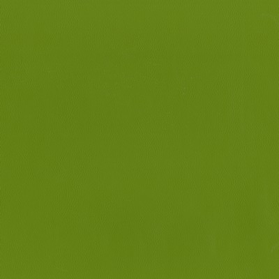 Maxwell Fabrics JACKSON # 614 GRASS