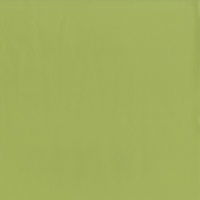 Maxwell Fabrics JACKSON # 615 ALOE