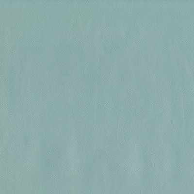 Maxwell Fabrics JACKSON # 616 POWDER