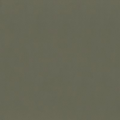 Maxwell Fabrics JACKSON # 629 GRAVEL