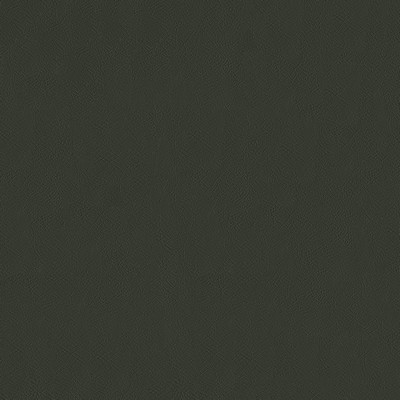 Maxwell Fabrics JACKSON # 638 THUNDER