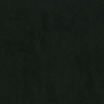 Maxwell Fabrics JACKSON # 640 ONYX