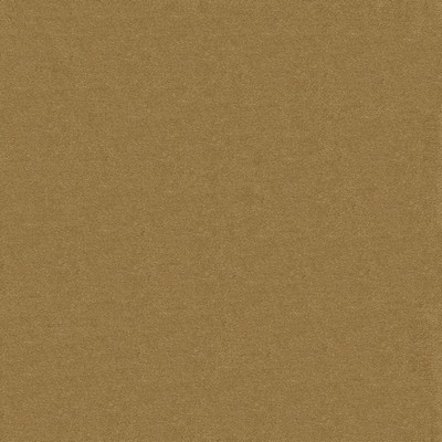 Maxwell Fabrics JIAVANI-DL # 118 FAWN