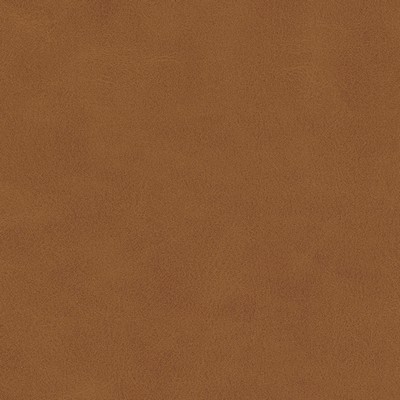 Maxwell Fabrics KIKI-NJ # 828 BUTTERNUT