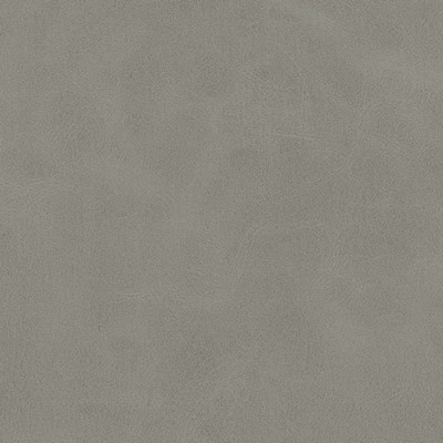 Maxwell Fabrics KIKI-NJ # 831 PAVEMENT