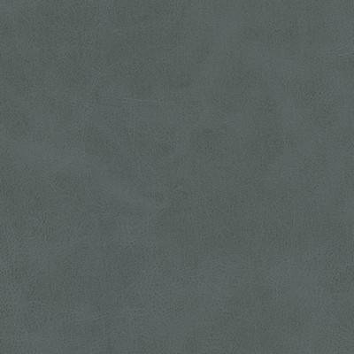 Maxwell Fabrics KIKI-NJ # 836 CANAL