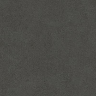 Maxwell Fabrics KIKI-NJ # 838 GRAPHITE