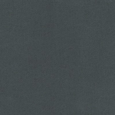 Maxwell Fabrics KNACK-NJ # 1293 POOL