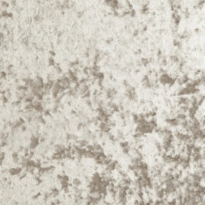 Maxwell Fabrics LIBRETTO # 718 OYSTER