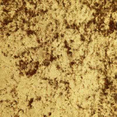 Maxwell Fabrics LIBRETTO # 751 HARVEST