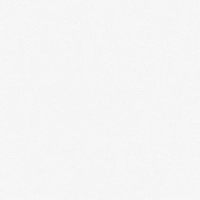 Maxwell Fabrics LEVIOSA # 803 BONE