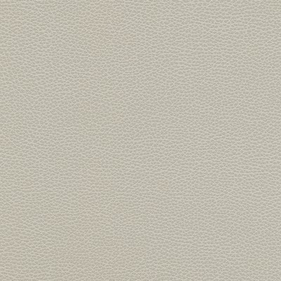 Maxwell Fabrics LEVANT-NJ # 1179 CLOUD