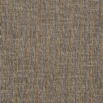 Maxwell Fabrics LINE DANCE 721 TRAIL