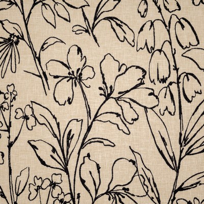 Maxwell Fabrics LOBELIA 205 CARBON