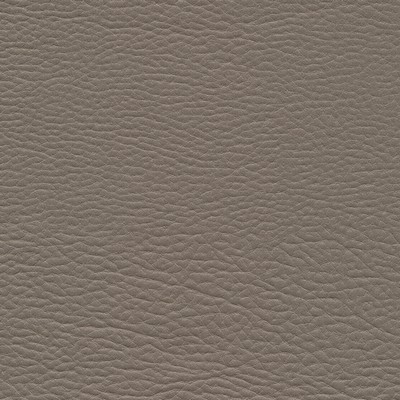 Maxwell Fabrics MEADOWLAND-NJ # 960 FOX