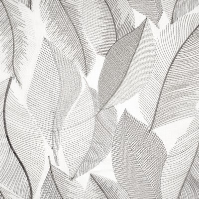 Maxwell Fabrics MALIHA 231 CHINCHILLA