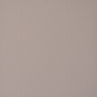 Maxwell Fabrics METRIC                         808 CALAMINE           