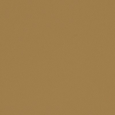 Maxwell Fabrics MATINEE # 728 FARINA