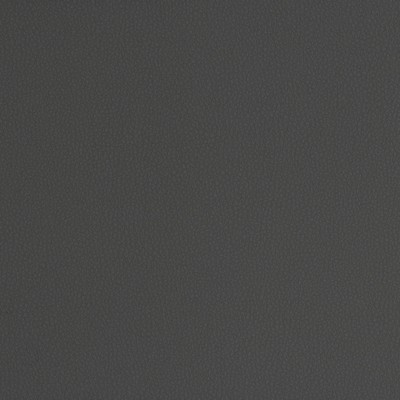 Maxwell Fabrics MATINEE # 778 MAGNET