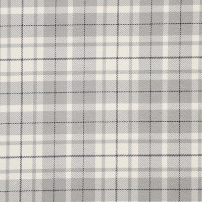 Maxwell Fabrics MUIR # 438 RAINCLOUD