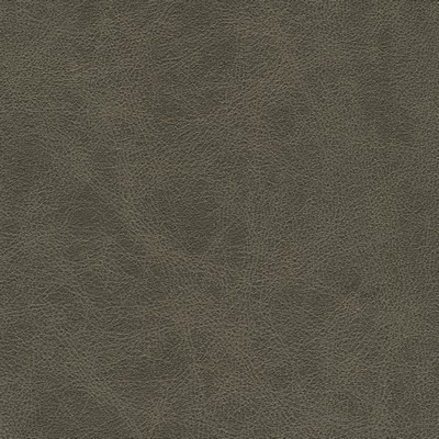 Maxwell Fabrics NOONDAY-NJ # 1030 WOODS