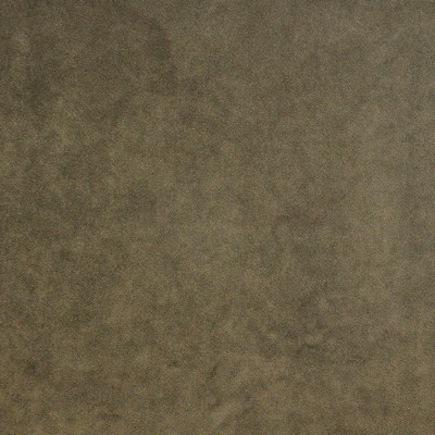 Maxwell Fabrics PALERMO # 407 ELEPHANT