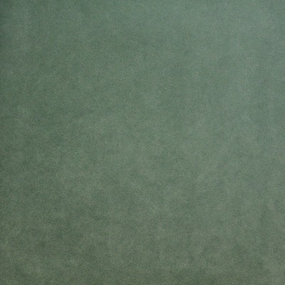 Maxwell Fabrics PALERMO # 415 DUCKEGG