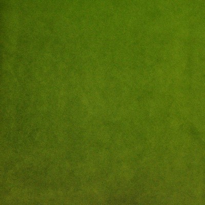 Maxwell Fabrics PALERMO # 419 LIME