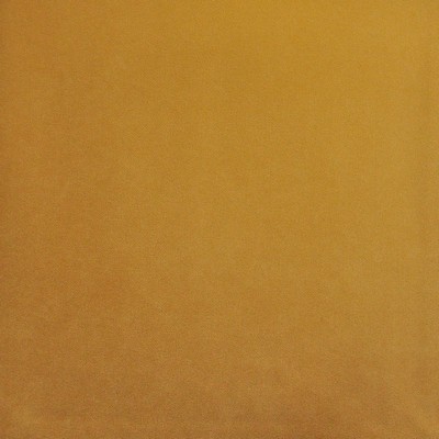 Maxwell Fabrics PALERMO # 423 BUTTER