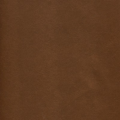 Maxwell Fabrics POTION-NJ # 575 OUTBACK