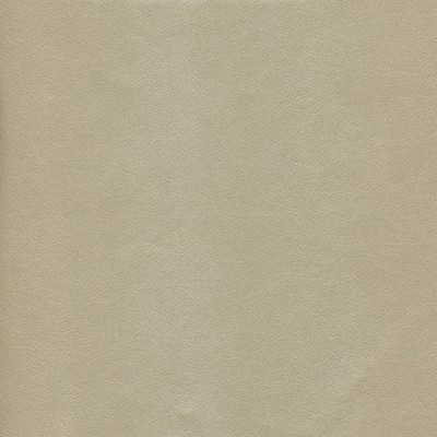 Maxwell Fabrics POTION-NJ # 581 FLOTSAM