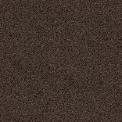 Maxwell Fabrics POTION-NJ # 583 BEAR