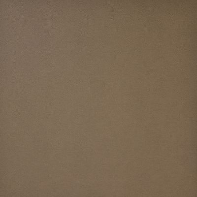 Maxwell Fabrics PONY EXPRESS                   013 RAM                