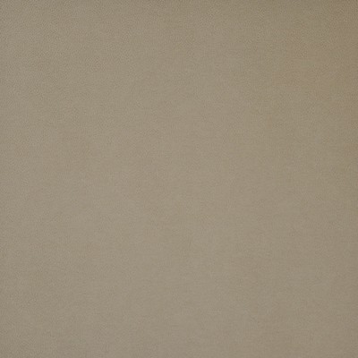 Maxwell Fabrics PONY EXPRESS                   1014 RYE               