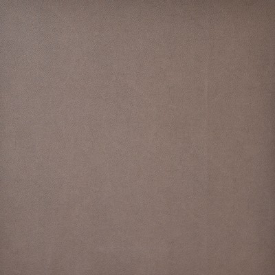 Maxwell Fabrics PONY EXPRESS                   2005 EARTH             