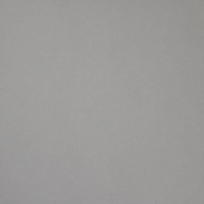 Maxwell Fabrics PONY EXPRESS                   2006 FEATHER           