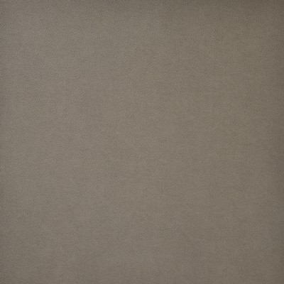 Maxwell Fabrics PONY EXPRESS                   4016 TIMBER            