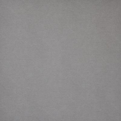 Maxwell Fabrics PONY EXPRESS                   5007 FLINTSTONE        