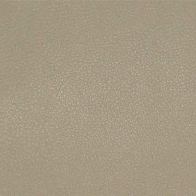 Maxwell Fabrics PERSUASION # 005 BISQUE