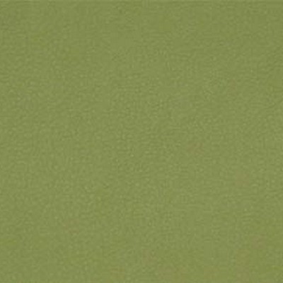 Maxwell Fabrics PERSUASION # 011 CITRONELLA