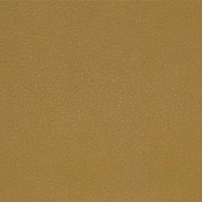 Maxwell Fabrics PERSUASION # 016 MAIZE